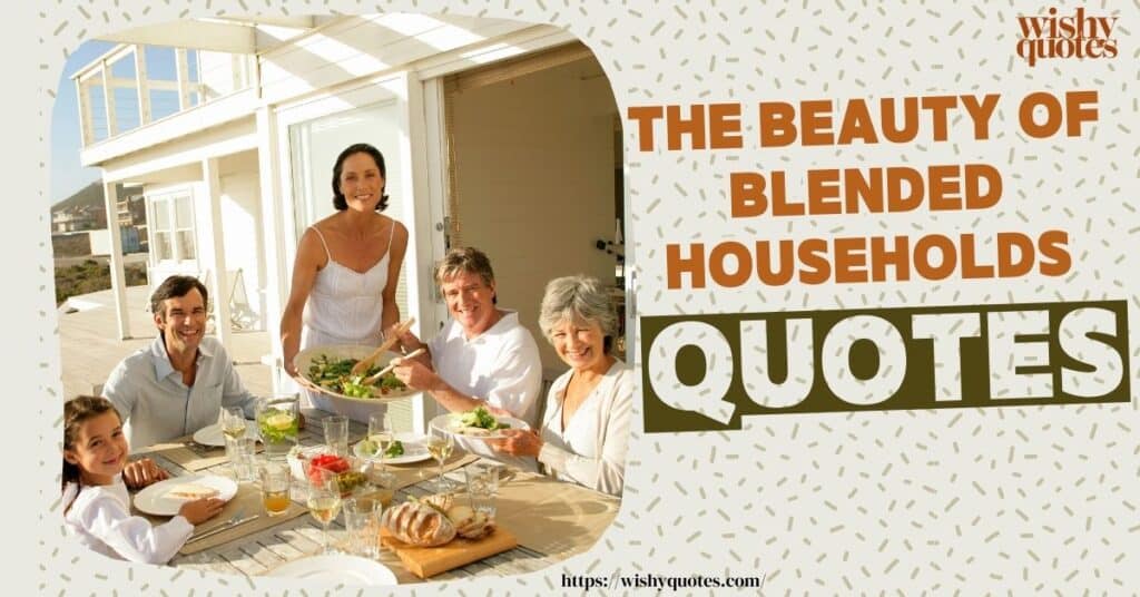 blended family households