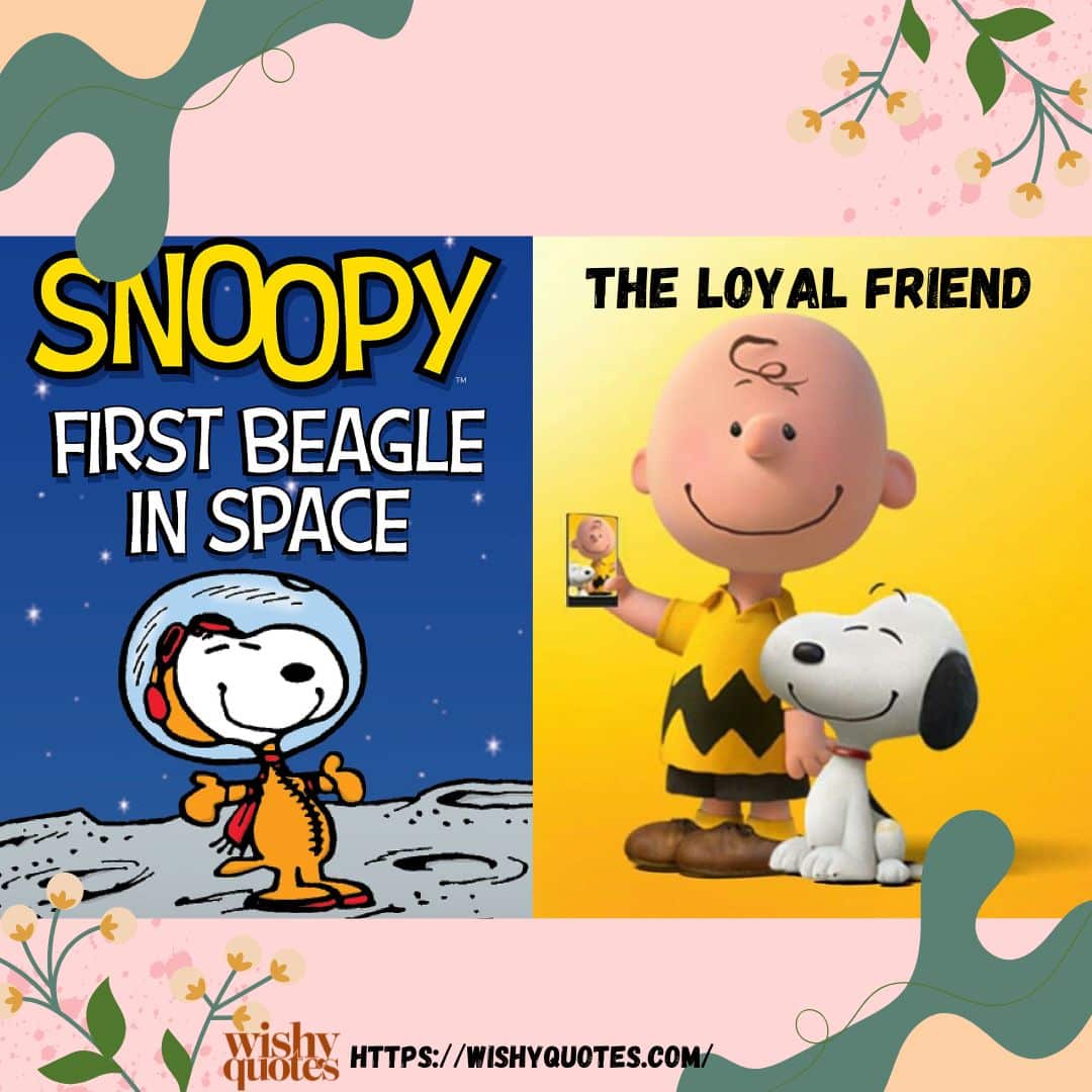 snoopy more than beagle