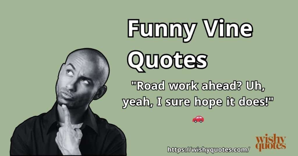 hilarious vine quotes