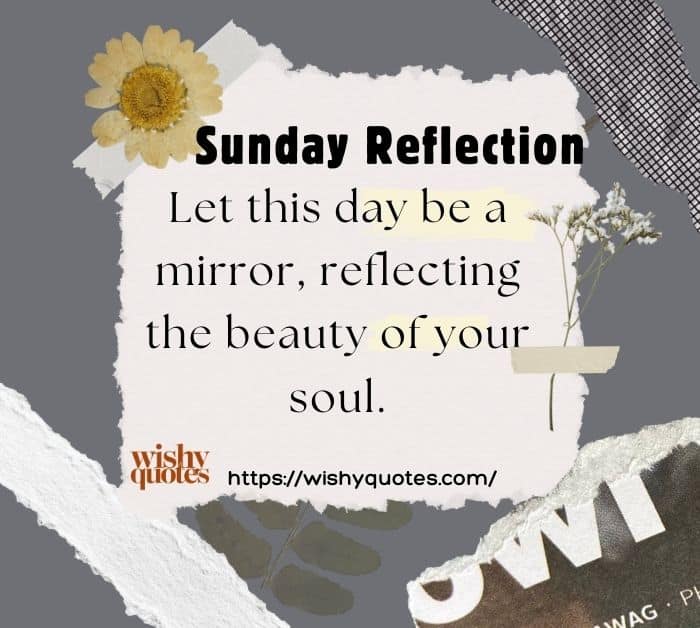 Sunday Reflection