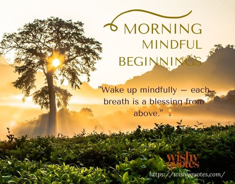 Mindful  Mornings