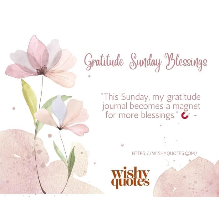 Gratitude Sunday Blessings