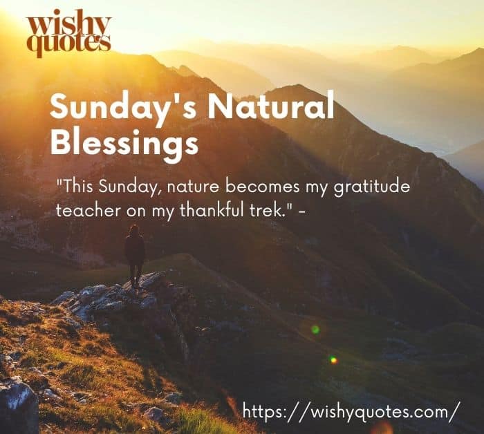 Sunday's Natural Blessings