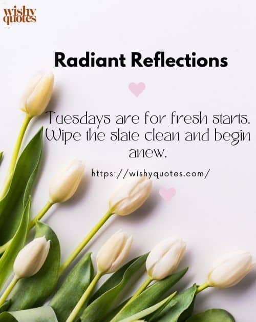 Tuesday Inspire Reflection