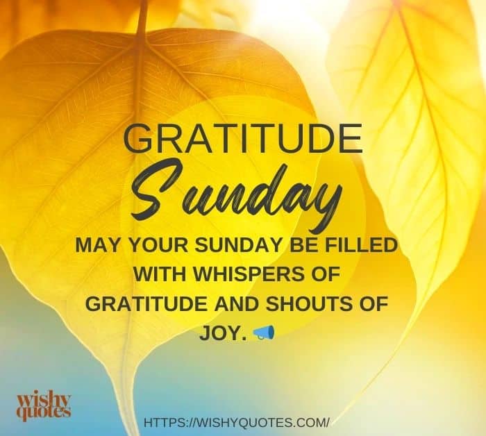 Sunday Blessings on Gratitude