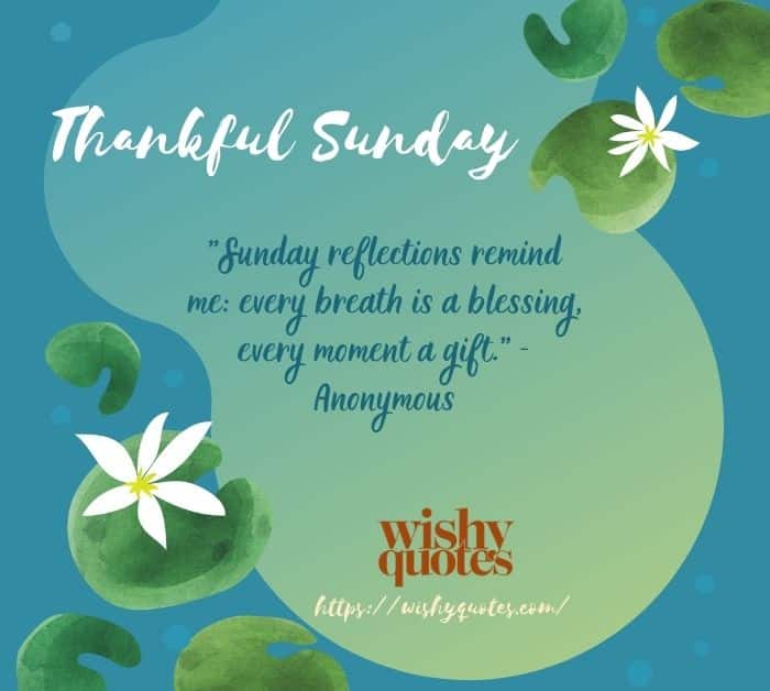 Deepening Your Sunday Gratitude