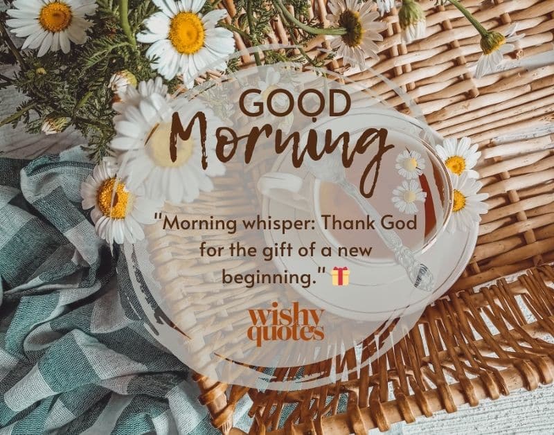 Quotes Gratitude in the Morning Light