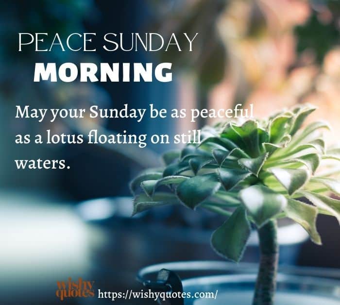 Sunday Good Morning Blessings for Peace