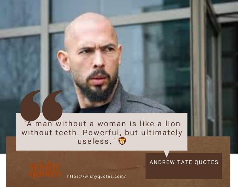 andrew quotes on relationship