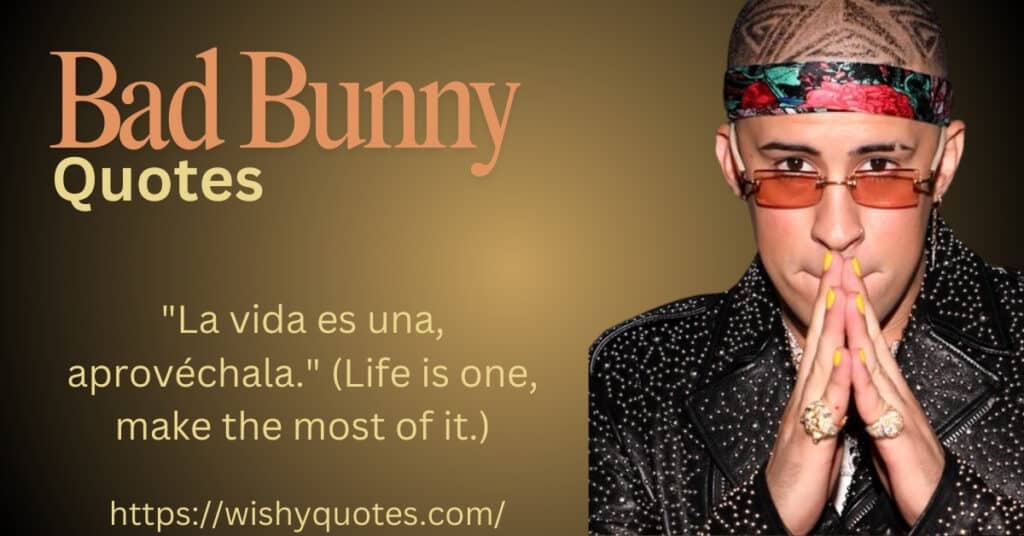 Bad bunny quotes