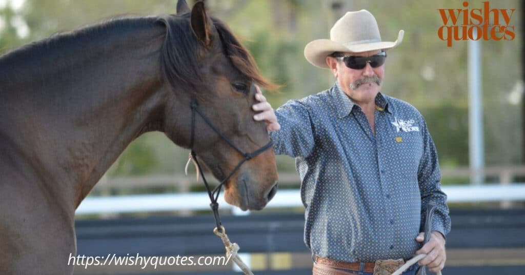 Communication of Horsemanship