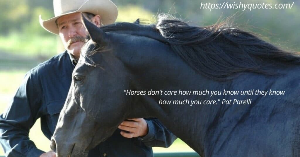 Horse Psychology