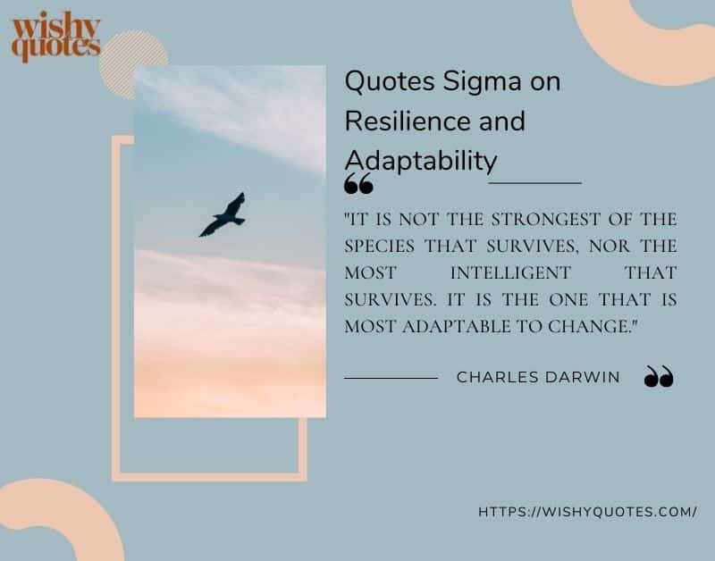 sigma quotes on resilience