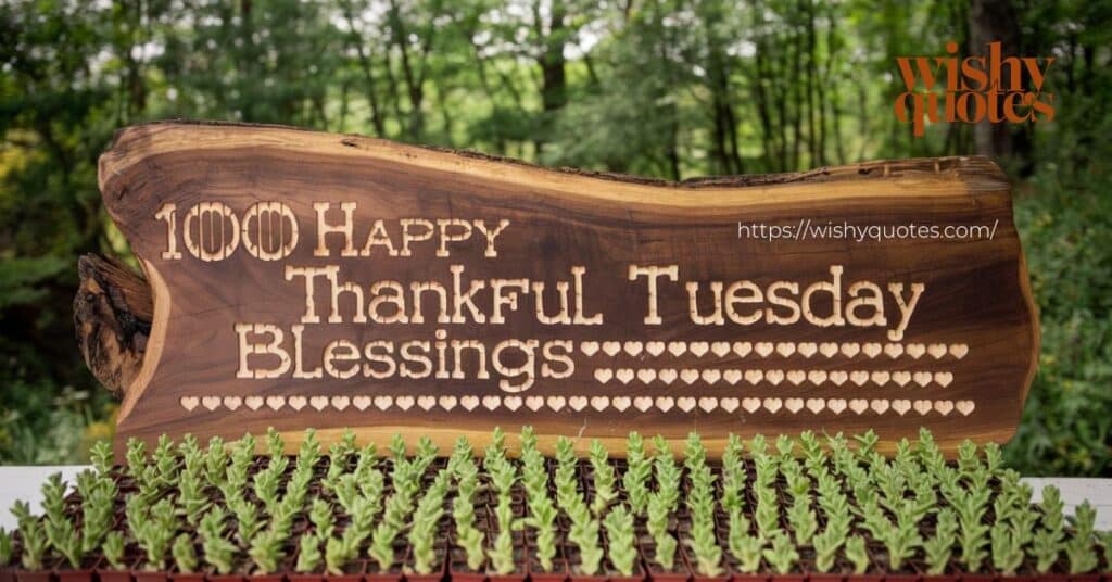 thankful tuesday