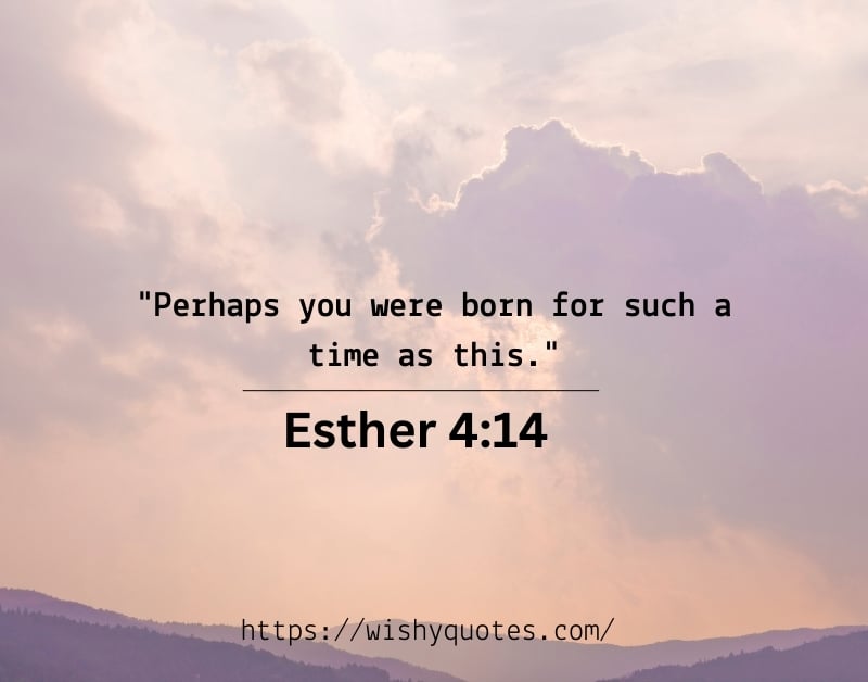 Esther 4:14