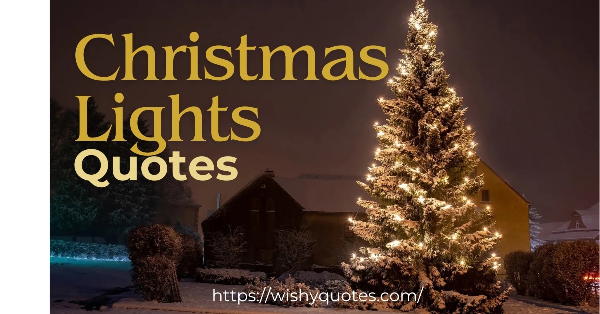 Christmas Lights Quotes